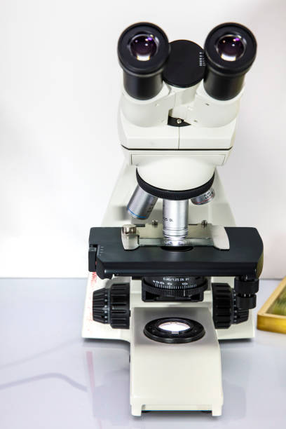 lente da laboratorio al microscopio. microscopio su sfondo bianco, concetto di scienza e tecnologia - technician isolated on white work tool magnification foto e immagini stock
