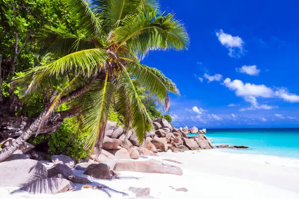 Photo of Tropical holidays in white sandy beaches of Seychelles, Praslin island