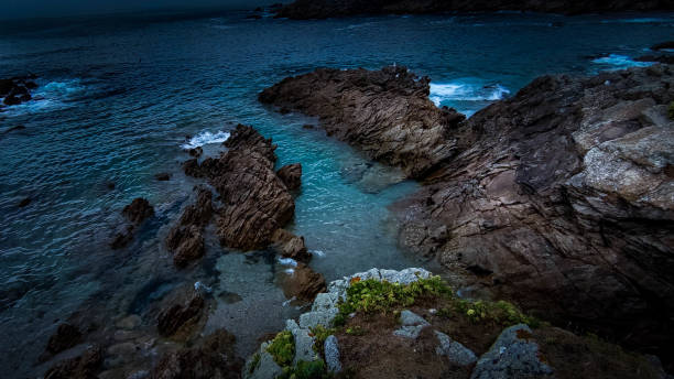 istock The wildside of quiberon 1280733554