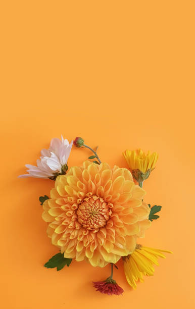 istock beautiful flowers on a colored background frame, template 1280734731