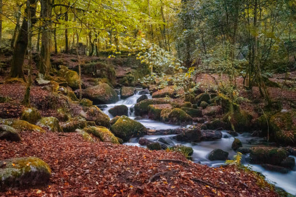 kennal vale - scenics waterfall autumn rock - fotografias e filmes do acervo