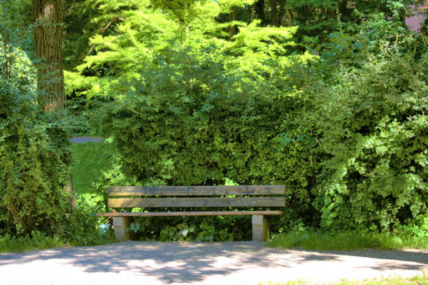 Relaxing in the green lungs in the center of Augsburg in Germany July 4,2020