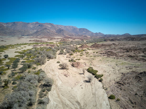 istock Brandberg mountain with the dry Ugab River 1280736126