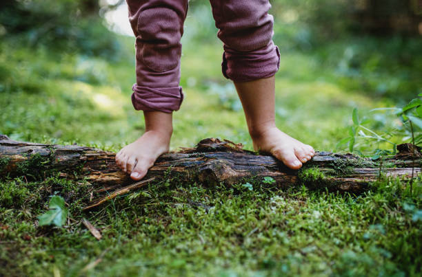 Bare feet of small child standing barefoot outdoors in nature, grounding concept. Bare feet of small child standing barefoot outdoors in nature, grounding and forest bathing concept. forest bathing photos stock pictures, royalty-free photos & images