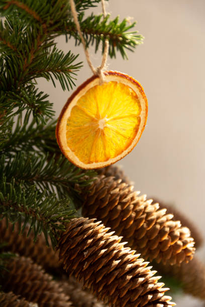 istock Slice of dried orange on a spruce branch 1280738512