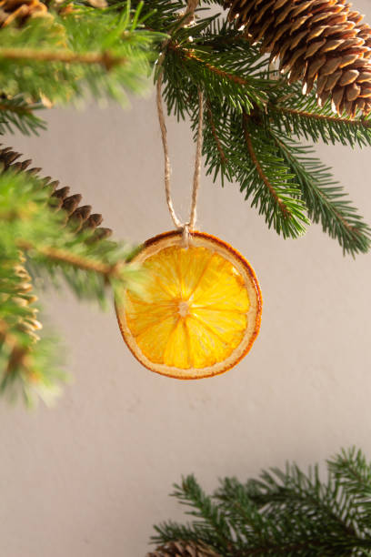 istock Slice of dried orange on a spruce branch 1280738524
