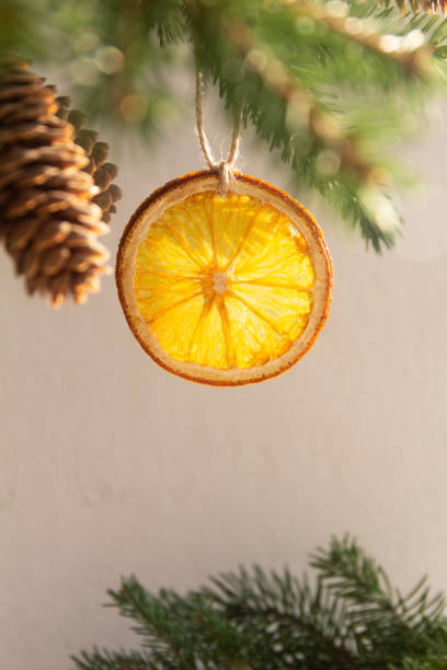 istock Slice of dried orange on a spruce branch 1280738531