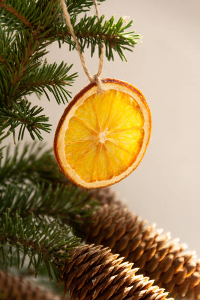 istock Slice of dried orange on a spruce branch 1280738540