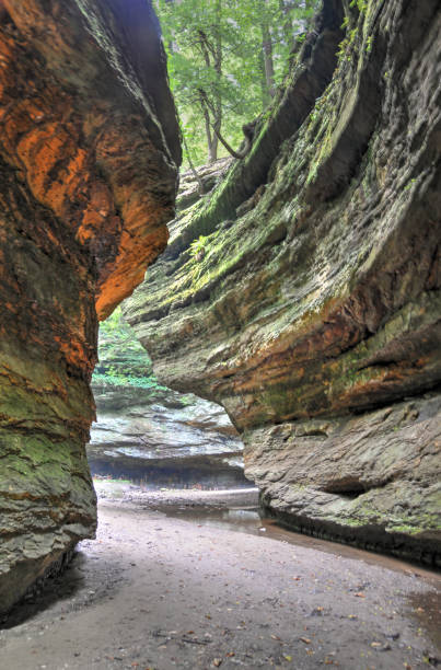 istock Beautiful Rock walled canyon-Turkey Run-Indiana 1280741391