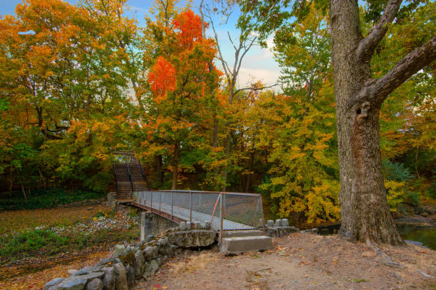 istock Walking bridge and fall colors-Howard County Indiana 1280741593