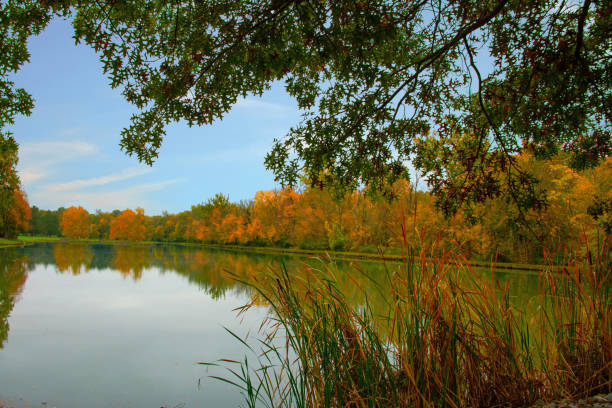 istock Fall Colors with a small pond-Howard County Indiana 1280741719