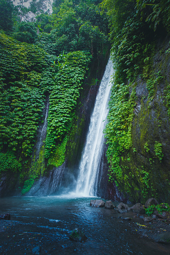 Beautiful waterfall with tropical plants deep in the rainforests of Bali, Indonesia.