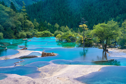 The colorful pools in Huanglong valley, Sichuan province, China.