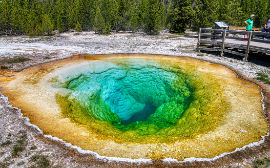 An image of Morning Glory Pool  in Yellowstone National Park
