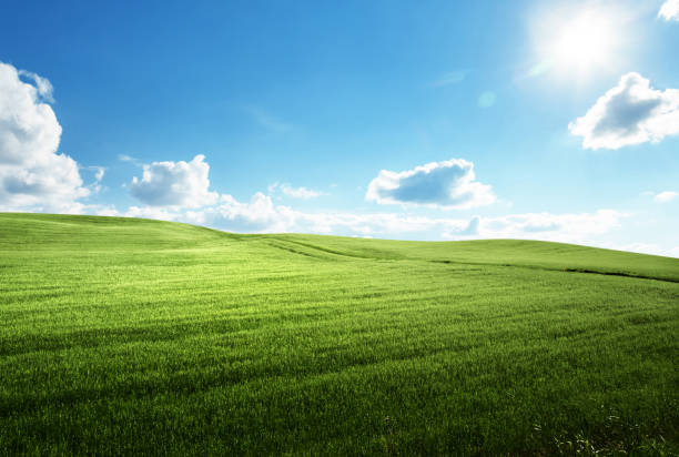 istock field of grass and perfect blue sky 1280747998