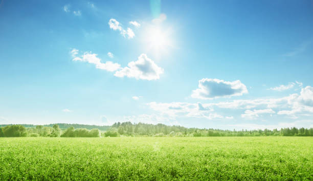 istock field of spring grass and perfect sky 1280748001