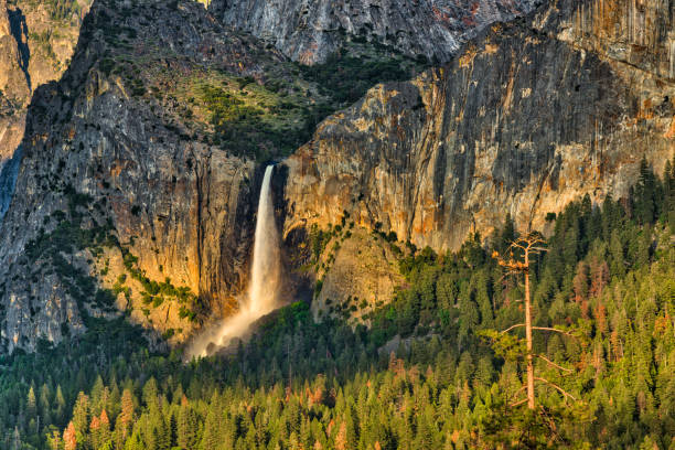 The Perfect Light A sunset image of Bridal-veil Fall in Yosemite National Park with the falls glowing from the setting sun yosemite falls stock pictures, royalty-free photos & images