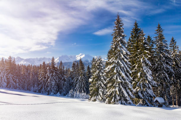 istock Holidays in Poland - Tatra Mountains in winter 1280749473