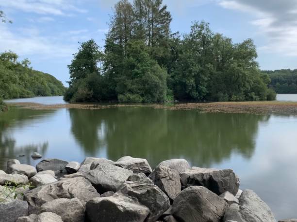 istock Small Island of Trees Castlewellan Forest Park 1280750482