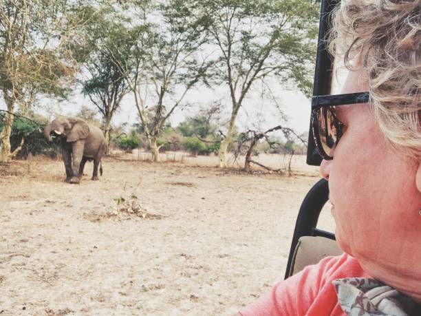 istock On safari in Malawi 1280755831