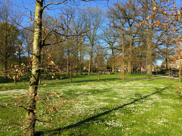 istock Apeldoorn Gelderland Netherlands 1280762557