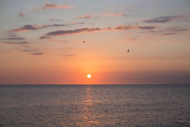 istock sunsets with orange tones in the sea 1280762703