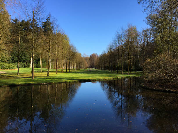 nature view in the forest at spring time sunny day, in Holland Apeldoorn Gelderland Netherlands