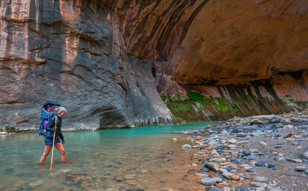 The Famous Narrows with the Virgin River in Zion National Park's Famous Canyon with Red Cliffs in Southern Utah USA The breathtakingly beautiful scenery of Zion National Park in southern Utah. zion river stock pictures, royalty-free photos & images
