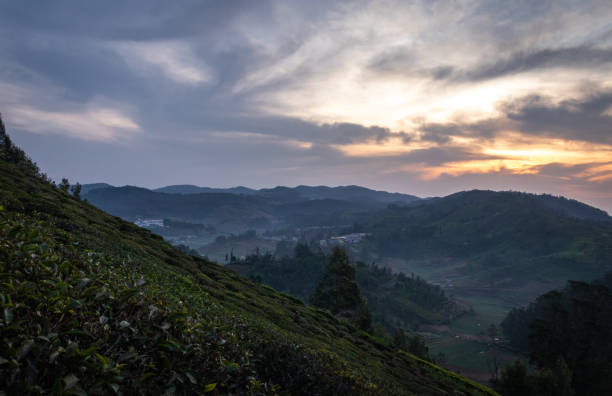 istock mountain dawn view with orange sky and tea garden 1280766735