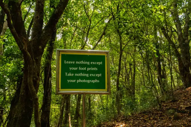 Green forest with message image is taken at coonoor tamilnadu india. It is showing the need of green forest for better future.