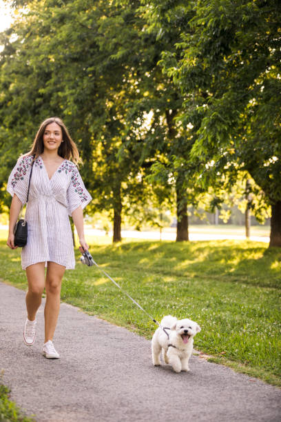 istock Lucky woman, lucky dog 1280768339