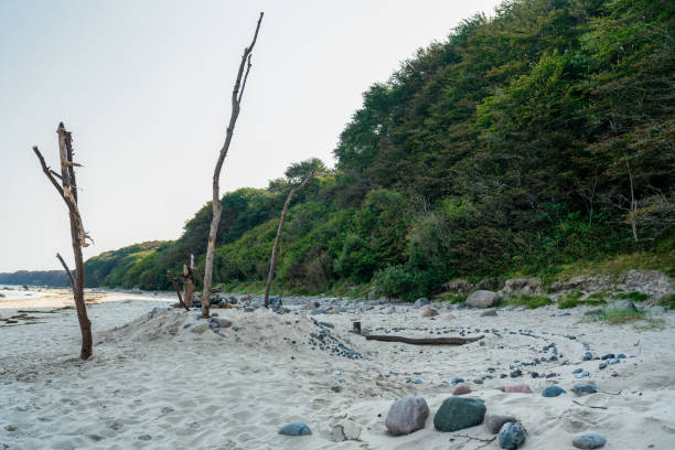 istock Huge sandcastle with stones and sticks at the beach 1280769512