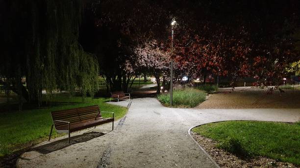 istock Park in the evening without people, a lit lantern. 1280770029