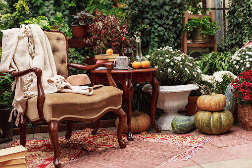 Wide shot of a corner in a domestic backyard where drinks on the table, a chair, seasonal flowers and pumpkins are left while enjoying an afternoon at home.