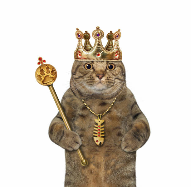 istock Cat in crown holds gold scepter 1280771347
