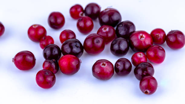 istock cranberry berries on a white background, macro photography , 1280772429