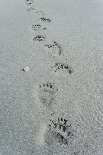 Light footprints  on the sand at sunset