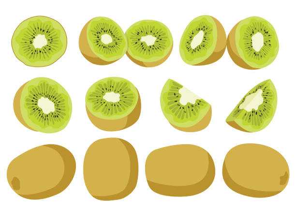 ilustrações, clipart, desenhos animados e ícones de kiwi fruta e meio isolado em vetor de ilustração de fundo branco - fruta kiwi