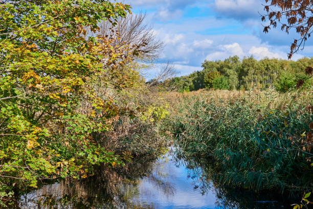 istock Sunny autumn mood at a small creek. 1280778828
