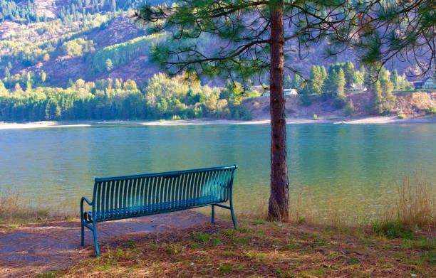 istock Bench On The Columbia River 1280779705