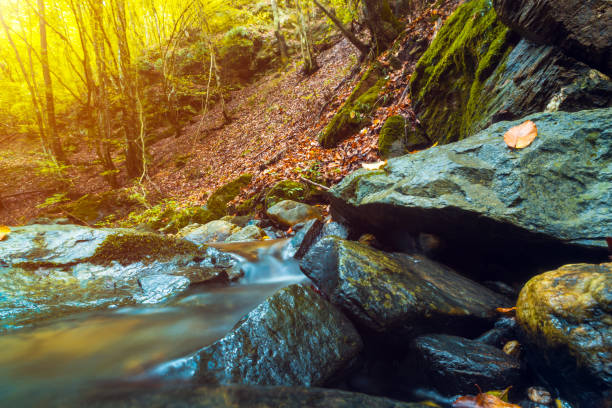 istock Rocks and small waterfalls on water stream in forest during fall season 1280781184