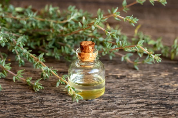 istock A transparent bottle of essential oil with fresh thyme 1280783126