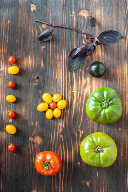istock many different tomatoes on a dark wooden background 1280783489