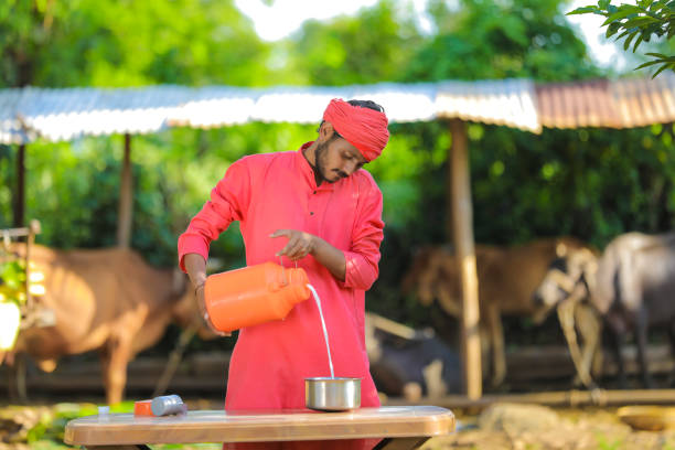 Young indian farmer at dairy farm