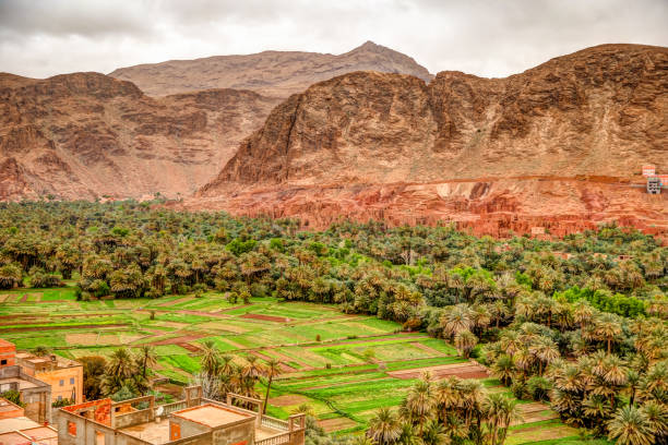 Desert oasis and casbahs along the Todra River in Morocco