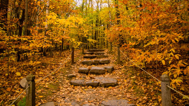 istock autumn view at the Gault Natural Reserve in Quebec 1280789131