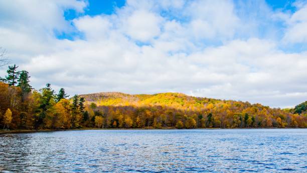 istock autumn view at the Gault Natural Reserve in Quebec 1280789225