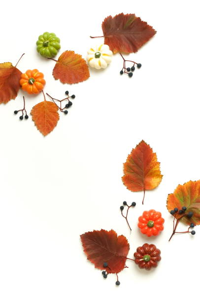 istock Autumn background. leaves, pumpkins, berries frame on white backdrop top view. copy space 1280790964