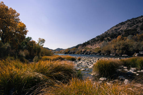 istock Sunlit Rio Grande River, Cottonwoods, Autumn 2020 Drought 1280792152