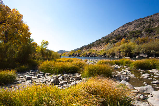 istock Sunlit Rio Grande River, Cottonwoods, Autumn 2020 Drought 1280792367